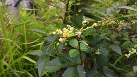 2013070213260001.JPG