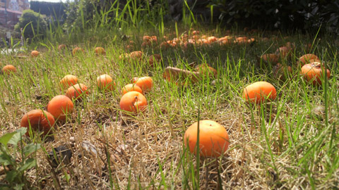 2013082712150000.JPG