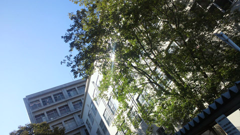 2013100115260000.JPG