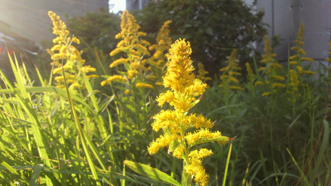 2013102915500000.JPG