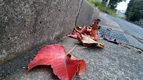 2013111814420000.JPG