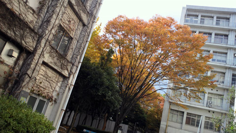 2013112512500000.JPG