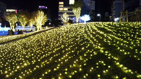 2013120221350000.JPG