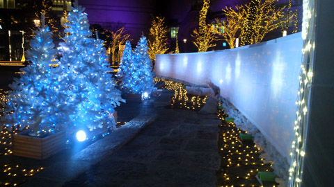2013121223350000.JPG