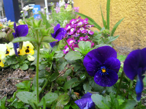 2014032014250000.jpg