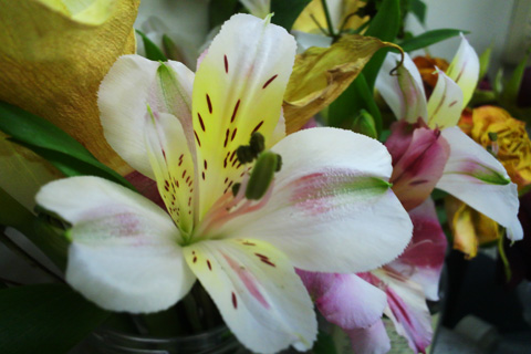 2014040200420000.JPG