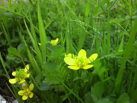 2014040309540000.JPG