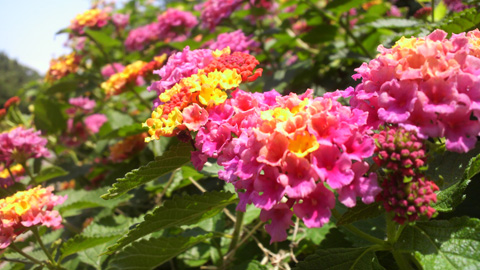 2014061313320000.JPG