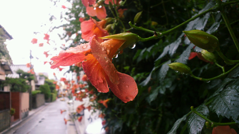 2014070312460000.JPG