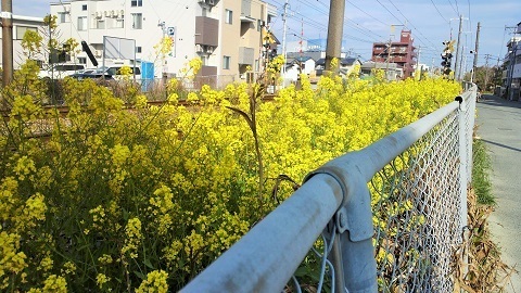 2015032808390001.JPG