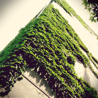 image-20130524024630.png